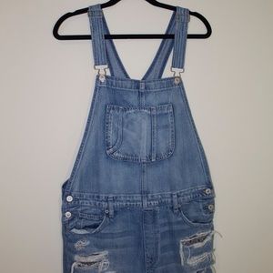 American Eagle Overall Shorts